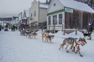 Gold Rush Trail Sled Dog Mail Run