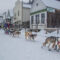 Gold Rush Trail Sled Dog Mail Run