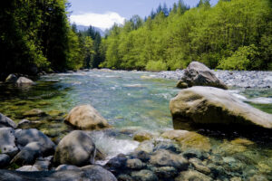 Golden Ears Park Offers Every Adventure Just an Hour from Vancouver