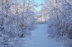 Outdoor Winter Activities in Grand Falls-Windsor