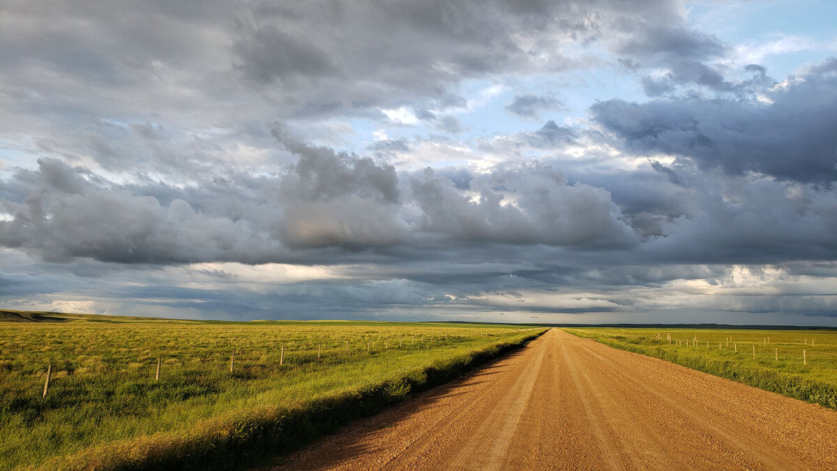 Top 10 Things to Do in Grasslands National Park