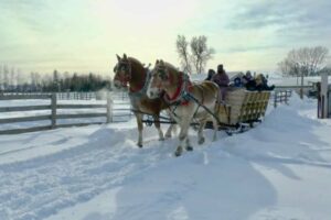 Places to Go to Enjoy Sleigh Rides on Prince Edward Island