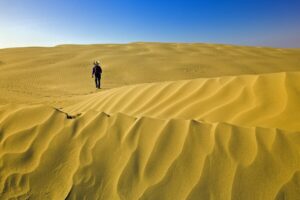 Great Sand Hills in Sceptre: Hike This Unique Desert in Saskatchewan