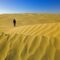 Great Sand Hills in Sceptre: Hike This Unique Desert in Saskatchewan