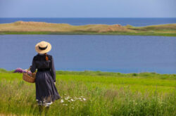 Anne’s Land: Things to Do to Uncover the Charm of Prince Edward Island’s Green Gables Shore