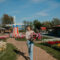 Flower Festivals, Easter Egg Hunts & More: Discover the Magic of Spring at Greendale Acres Near Vancouver