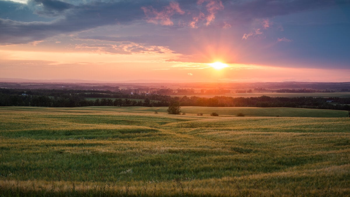 Essential Guide to Summer Day Trips From Edmonton 100+ Day Trip Ideas