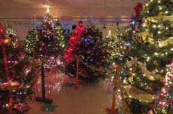 20+ Christmas Markets & Holiday Craft Fairs in Halifax - 2025