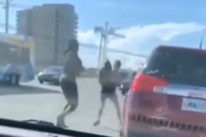Dartmouth Woman Accused in Dog-Swinging Video Says She's Facing Racist Abuse Online