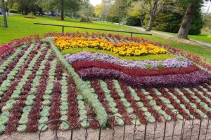 25 Nature Attractions & Parks in and Around Halifax