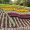25 Nature Attractions & Parks in and Around Halifax