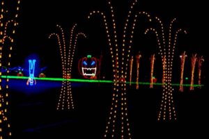 25 Things to Do During Fall in York Region