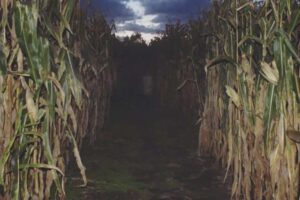 Halloween in London: Haunted Attractions, Family and Adult Activities - 2026