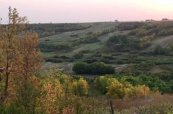 Fun Farms to Visit in Fall: Pumpkin Patches & Corn Mazes in Saskatchewan