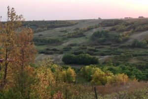 Fun Farms to Visit in Fall: Pumpkin Patches & Corn Mazes in Saskatchewan