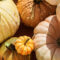Pumpkin Patches and Corn Mazes in Metro Vancouver