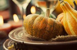 Harvest Festival Weekends at Puddicombe Farms