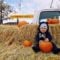 Harvest Pumpkin Fest