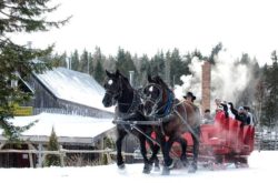 Things to Do During March Break in Halifax