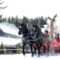 Things to Do During March Break in Halifax