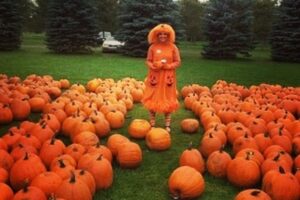 25 Fun Things to Do During Fall in the Ottawa Region