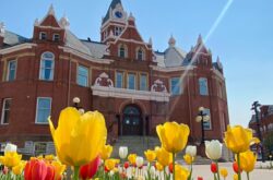 Head to Stratford For a Colourful Spring Getaway - Top Things to See & Do