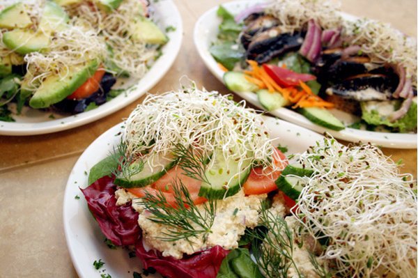 15 Best Vegetarian Restaurants in Halifax