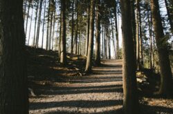 25 of the Best Trails In and Around Halifax