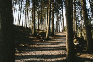 25 of the Best Trails In and Around Halifax