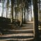25 of the Best Trails In and Around Halifax