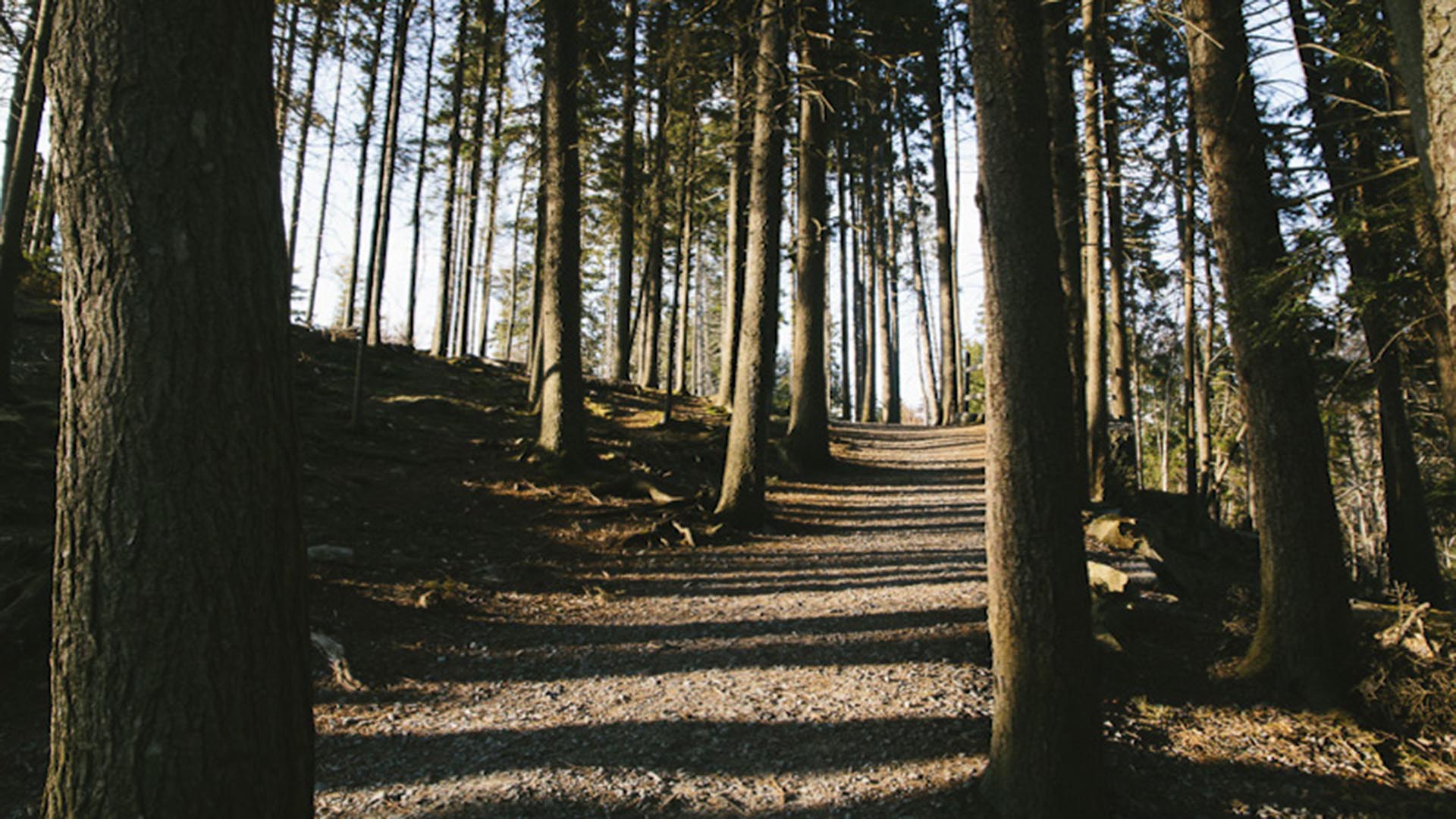 25 of the Best Trails In and Around Halifax