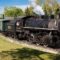 May Long Weekend Activities in Calgary - 2026