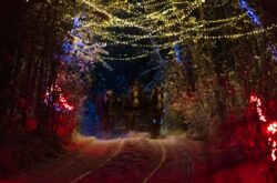 Ideas For a Valentine’s Weekend Getaway in Alberta