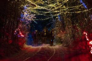 Ideas For a Valentine’s Weekend Getaway in Alberta