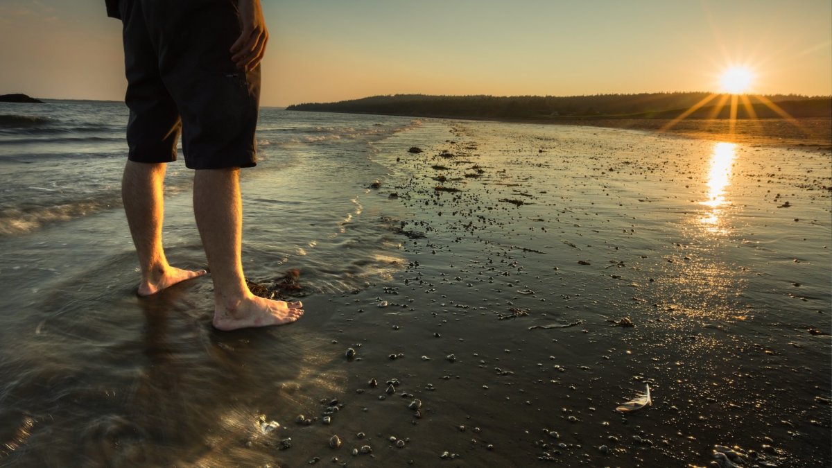 Herring Cove Provincial Park