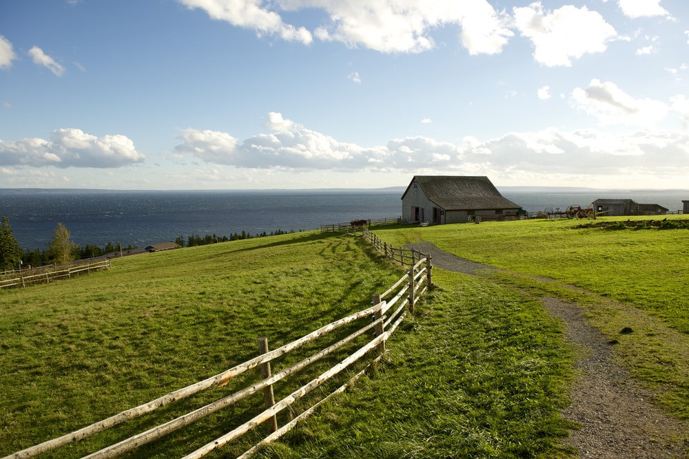 25 Must Do Summer activities in Cape Breton
