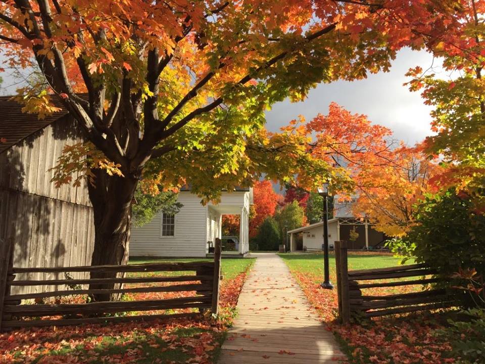 Toronto Day Trips