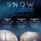 Hockley-Winter-Snow-Globes-Flyer-Highres-01