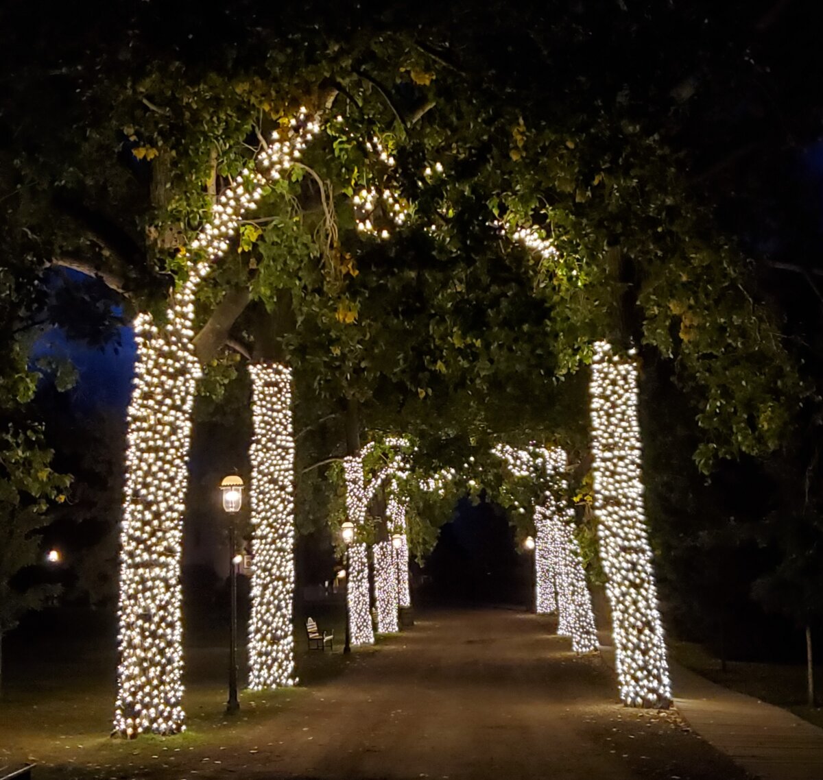 New Christmas Light Festival at Calgary’s Heritage Park to Feature
