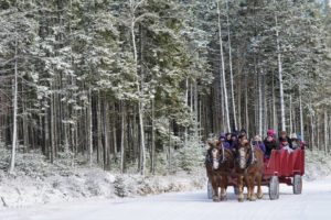 Things to Do during Winter/Christmas Holidays in Halifax