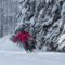 Snowboarding and Skiing in Greater Toronto Area