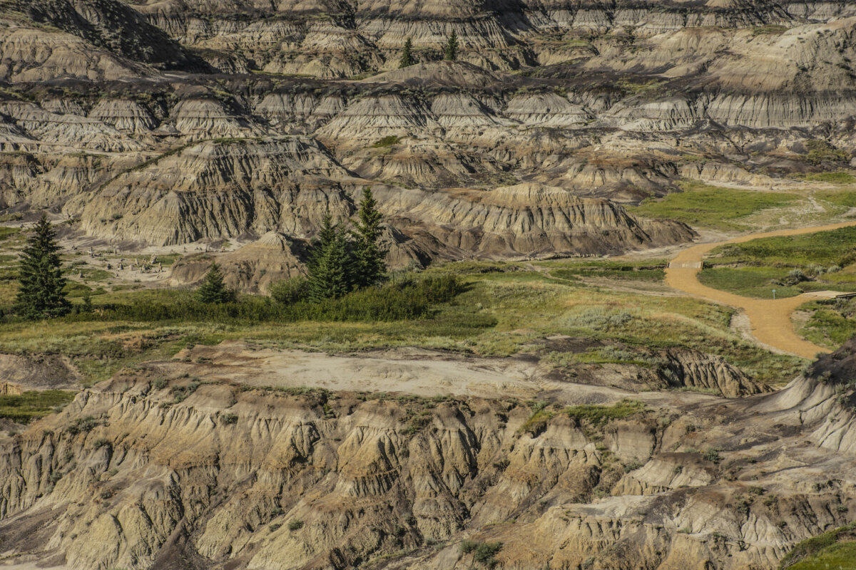 Meander Through Alberta’s Badlands on a Horseshoe Canyon Hike This Summer