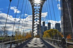 Top Things to Do in Toronto This Weekend - May 15 to 18, 2026