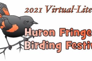 Huron Fringe Birding Festival