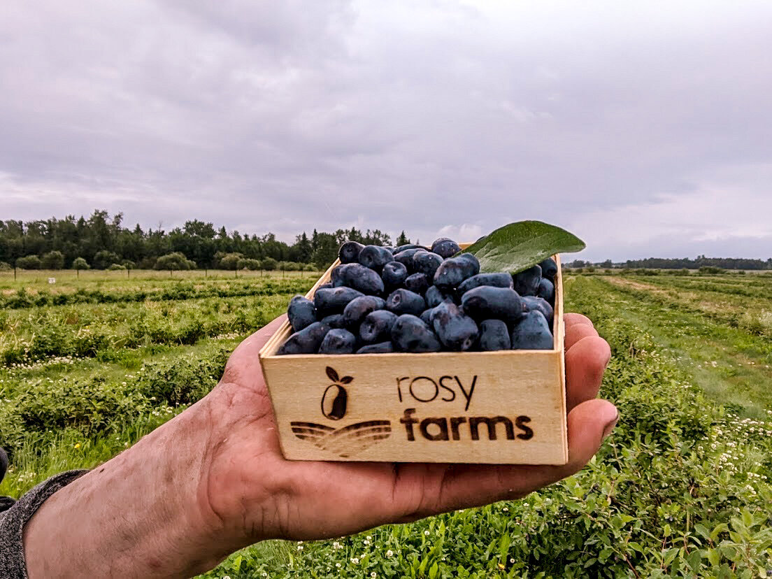 Rosy Farms U-Pick