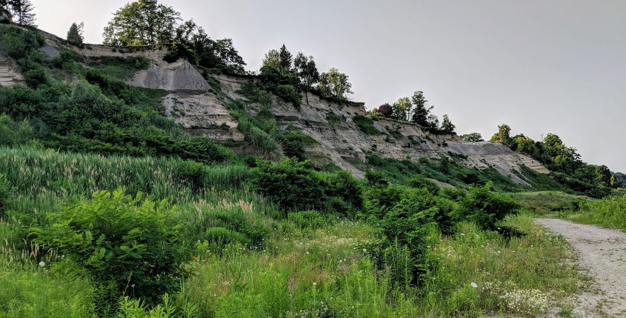 Things to DO in Scarborough - Doris McCarthy Trail