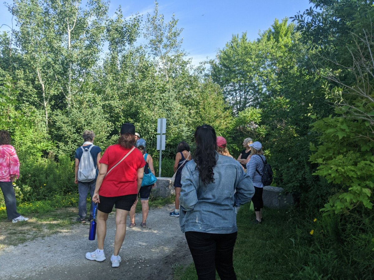A Walk in the Park // Une promenade dans le parc Compass Challenge