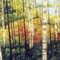 The Art Guild of Scarborough Fall Juried Art Show and Sale