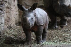 Zoos and Petting Zoos in Greater Toronto Area
