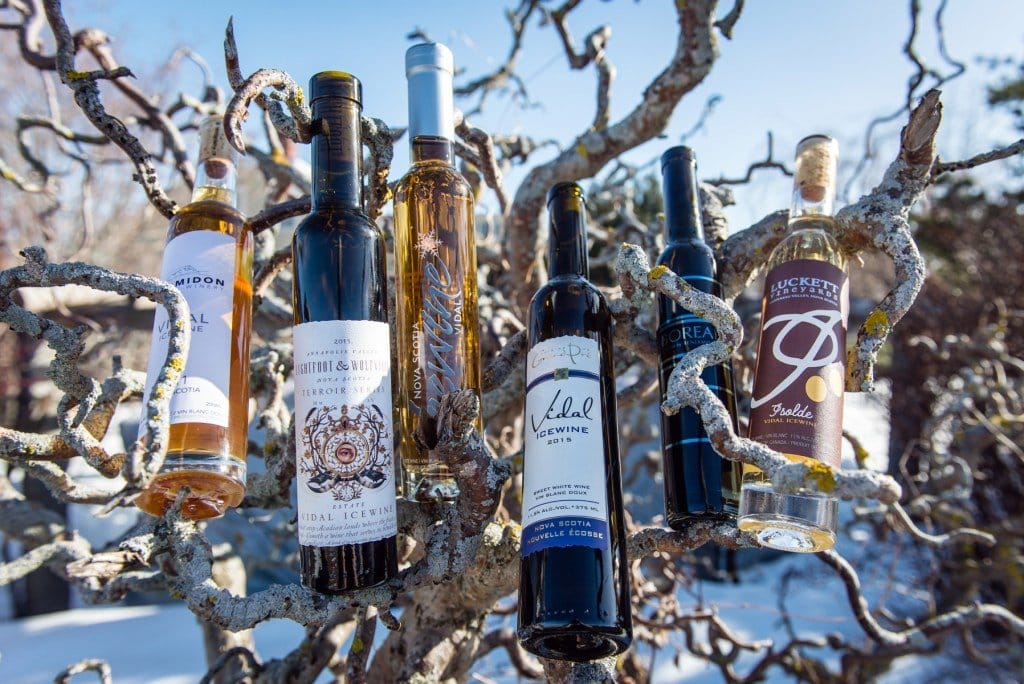 Ice Wine Festivals Nova Scotia